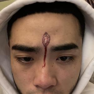 美女高清黄色片
