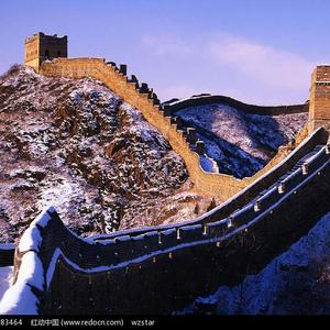 美女做爱视瓶并人犬兽人观看免费完整版美女美
