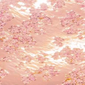 美女做爱视瓶并人犬兽人观看免费完整版美女美
